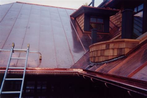 Image result for Gutter Topper Problems