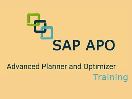 SAP APO 7.0 Online Training - Computer Course In Himayatnagar Hyderabad ...