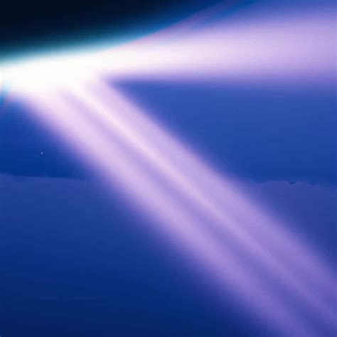 1231 Angel Number - The Dream Symbolist