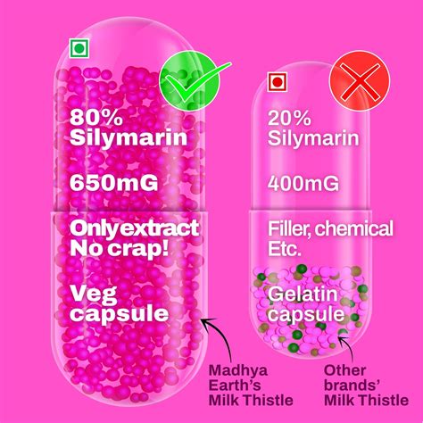 MILK THISTLE CAPSULES | 650mg | 60 Veg Capsules – MadhyaEarth