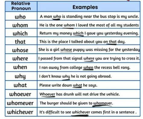 relative pronoun 10 examples with answer - Brainly.in