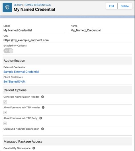 Understanding Named Credentials in Salesforce : A Comprehensive Guide ...