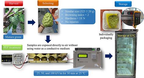 Image result for Modern Food Processing Technology