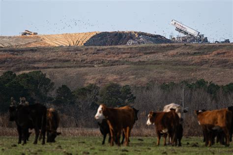 A decades-long battle against North Carolina's largest landfill is ...