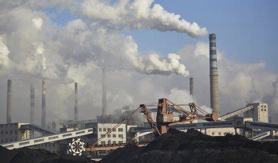 Ecology Examples 的图像结果