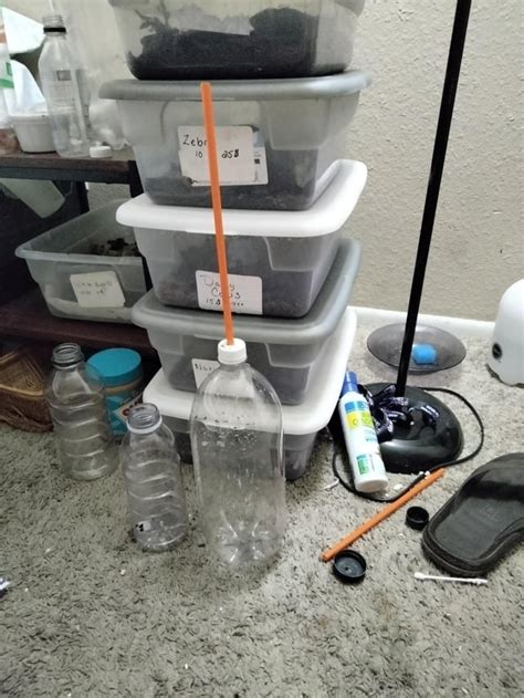 Image result for Marble Gun Building Tutorial