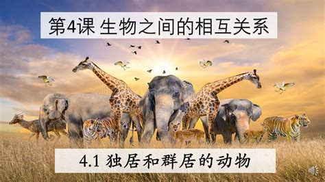 动物园原创图片_动物园正版素材_红动中国