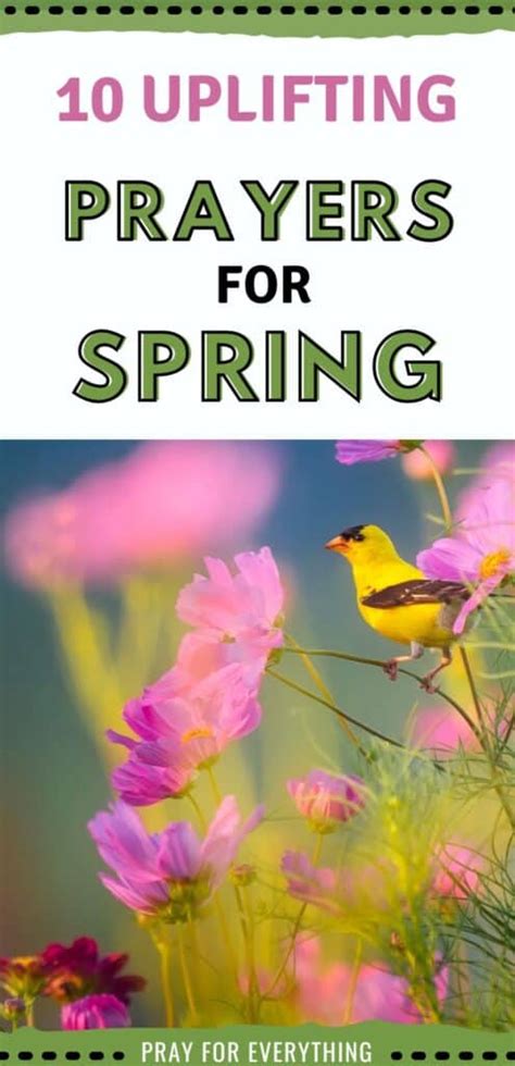 Image result for Reflection Prayer for Spring