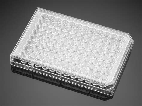 354505 | Corning® BioCoat® Collagen I 48-well Clear Flat Bottom TC ...