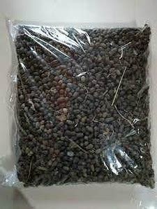 NAGORI GOATS GOAT Waste Manure Price in India - Buy NAGORI GOATS GOAT ...