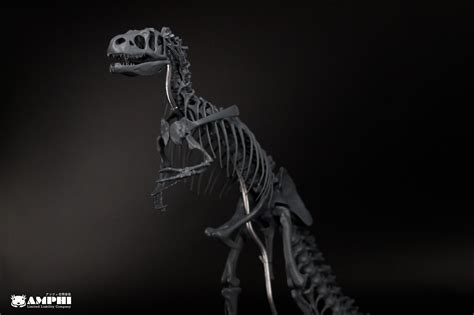 アロサウルス 縮小全身骨格レプリカ Allosaurus, miniature whole body skeleton replica ...