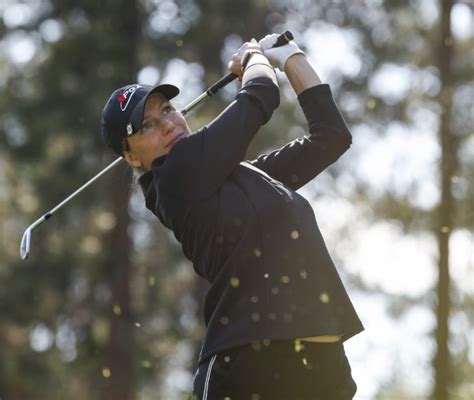 Image result for Pgac Insurance