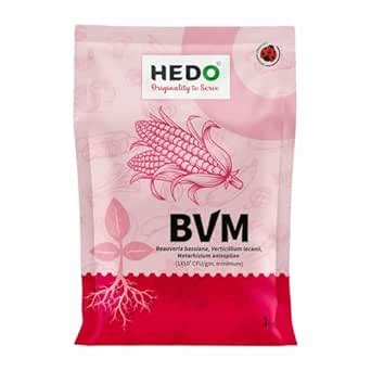 HEDO BVM (1X 10^9 CFU/gm) Organic Powder - Beauveria bassiana ...