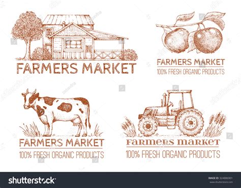 Write 的图像结果