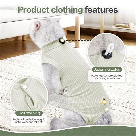 Traje de recuperación quirúrgica para gato | Gata para esterilizar ...