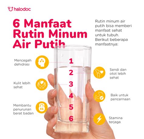 manfaat air putih jantung