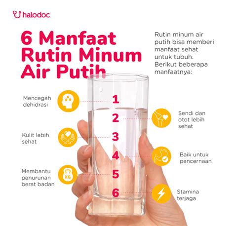 manfaat air putih hangat