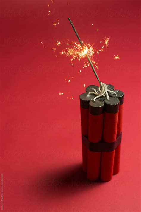 Image result for Dynamite Waste Management