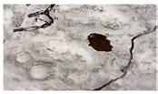 Low Carbon Bacterial Self-Healing Concrete