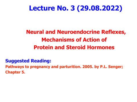 SOLUTION: Neural and neuro endocrine reflexes mechanisms of action of protein and steroid ...