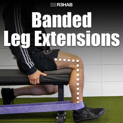 Banded Leg Terminal Knee Extension at Claude Mardis blog