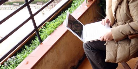 5 Common Internet Users 的图像结果