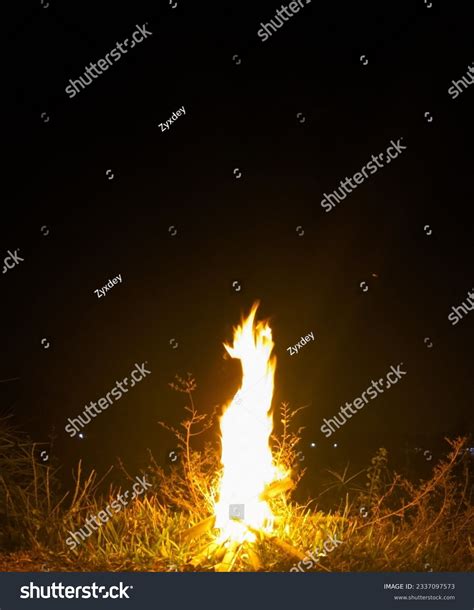 Combustibility 的图像结果