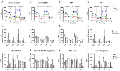 The Role of the Pathogen Dose and PI3Kγ in Immunometabolic ...
