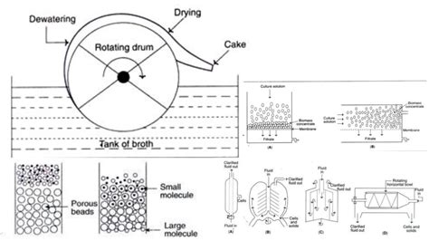 Image result for Downstream Processing