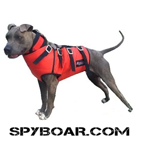 Protective dog hunting vest Hard Core R.C.D. II