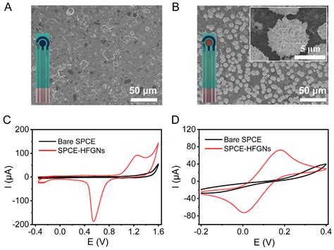 Biological Recognition-Based Electrochemical Aptasensor for Point-of ...