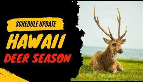Iowa Deer Season 2025: Your Comprehensive Guide! - DeerSeason.Org