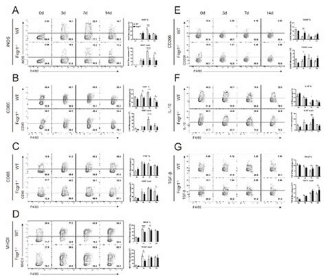 A Pathogenic Role for FcγRI in the Immune Response against Chlamydial ...