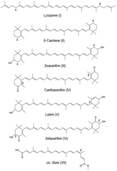 The Endless World of Carotenoids—Structural, Chemical and Biological ...