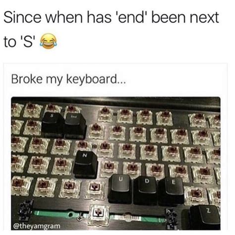 Image result for Moderation Meme