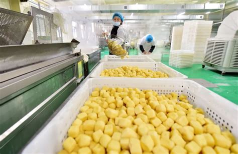 三河五香豆片豆制品加工厂批发零售 三河市 孟香嘴-食品商务网