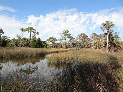 THE 30 BEST Places to Visit in Port Richey (2026)