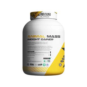 Buy Whey Protein & Mass Gainers Online in India | BigRock