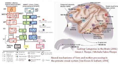 Book Excerptise: Born on a Blue Day by Daniel Tammet