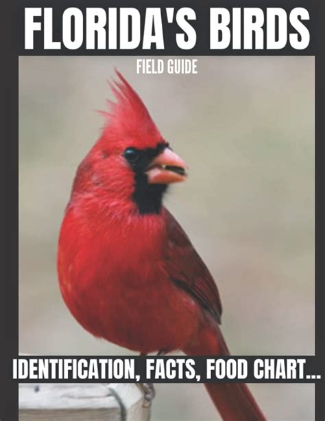Buy Florida's Birds Field Guide: Identification, Facts, Food Chart ...