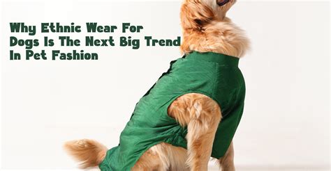Why Ethnic Wear for Dogs is the Next Big Trend in Pet Fashion – Barks ...