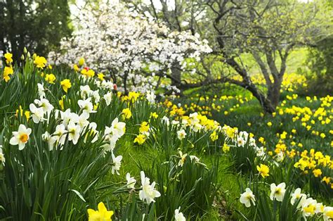 Image result for Spring Boot Default JSON Exception