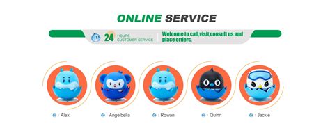 Company Overview - Linyi Bailibai International Trade Co., Ltd.