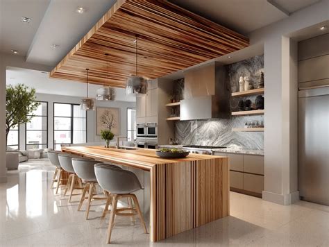 Kitchen Ceiling 的图像结果