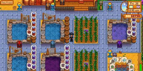 Stardew Valley: A Complete Guide To Fish Ponds