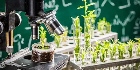 ICAR-Indian Institute of Spices Research