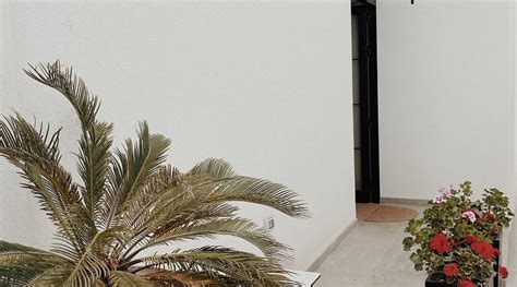 RUBY PALACE (Vlore) - Hotel Reviews & Photos - Tripadvisor