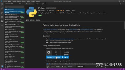 How to Download Python On vs Code 的图像结果
