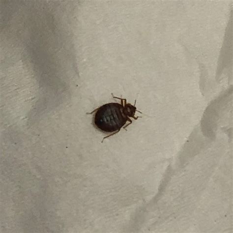 HAMPTON INN TULSA/BROKEN ARROW - Hotel Reviews, Photos, Rate Comparison ...