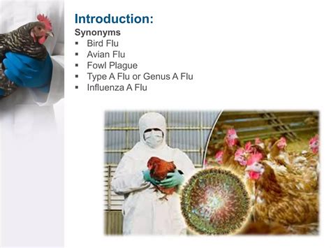 Avian fluenza virus | PPTX - genus of influenza virus